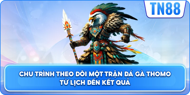 Chu Trình Theo Dõi Một Trận Đá Gà Thomo Từ Lịch Đến Kết Quả