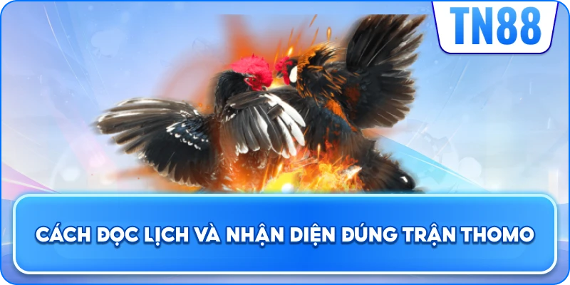 Cách Đọc Lịch Và Nhận Diện Đúng Trận Thomo