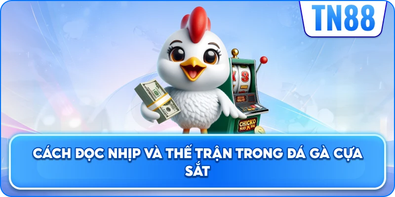 Cách Đọc Nhịp Và Thế Trận Trong Đá Gà Cựa Sắt