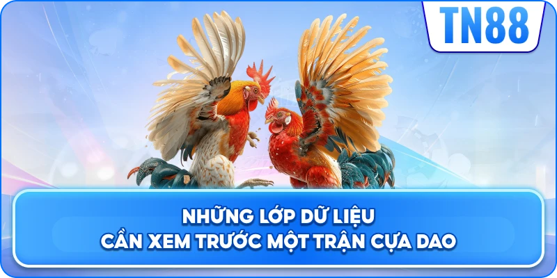 Những Lớp Dữ Liệu Cần Xem Trước Một Trận Cựa Dao