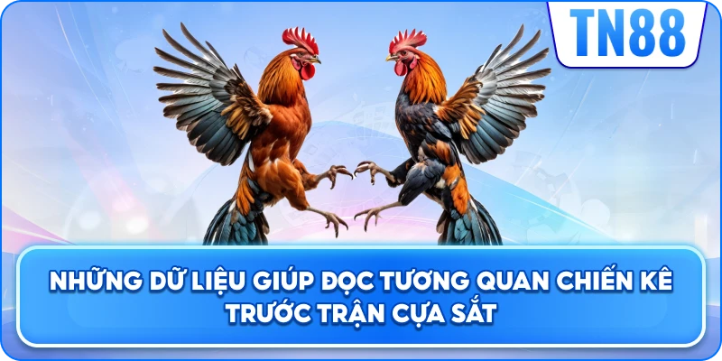 Những Dữ Liệu Giúp Đọc Tương Quan Chiến Kê Trước Trận Cựa Sắt