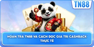 Hoàn Trả TN88 Và Cách Đọc Giá Trị Cashback Thực Tế