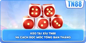 Kèo Tài Xỉu TN88 Và Cách Đọc Mốc Tổng Bàn Thắng