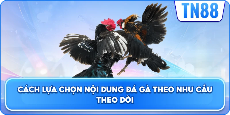 Cách Lựa Chọn Nội Dung Đá Gà Theo Nhu Cầu Theo Dõi