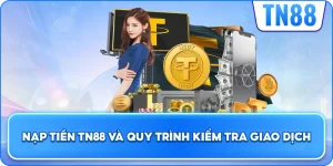 Nạp Tiền TN88 Và Quy Trình Kiểm Tra Giao Dịch