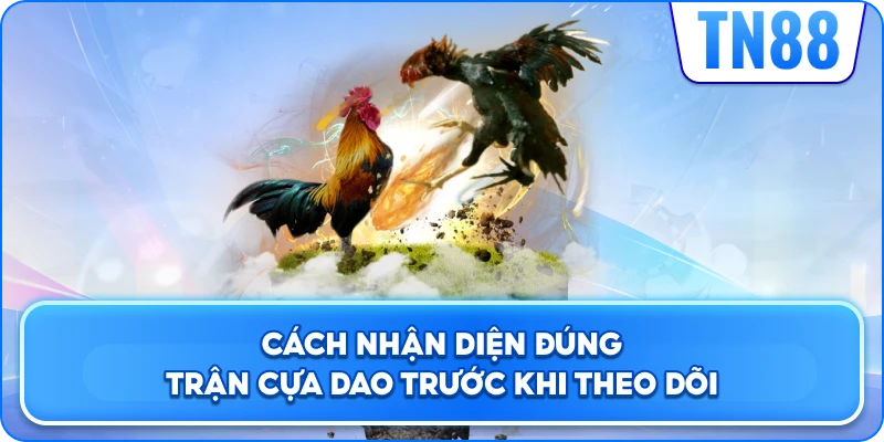Cách Nhận Diện Đúng Trận Cựa Dao Trước Khi Theo Dõi