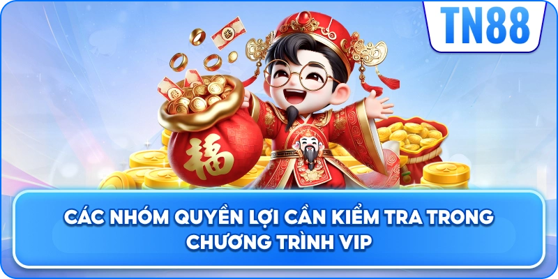 Các Nhóm Quyền Lợi Cần Kiểm Tra Trong Chương Trình Ưu Đãi VIP