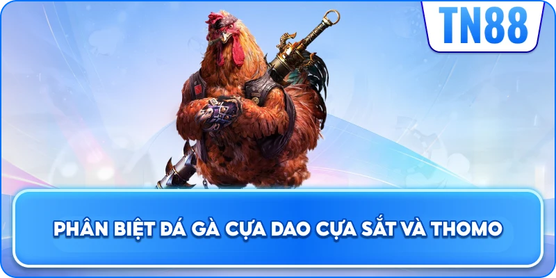 Phân Biệt Đá Gà Cựa Dao, Cựa Sắt Và Thomo