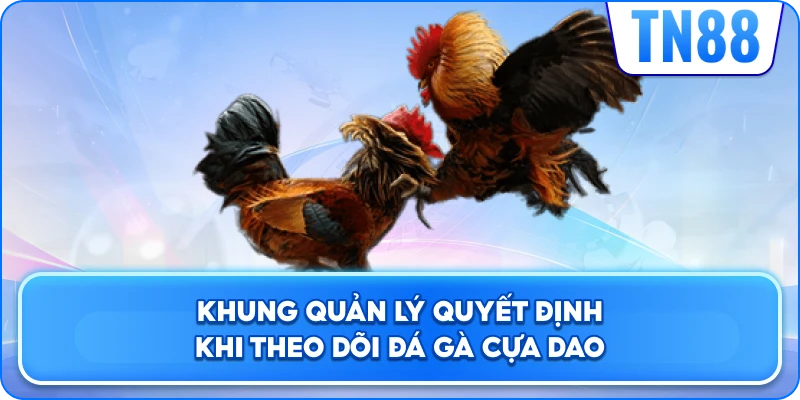 Khung Quản Lý Quyết Định Khi Theo Dõi Đá Gà Cựa Dao