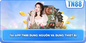Tải App TN88 Đúng Nguồn Và Đúng Thiết Bị