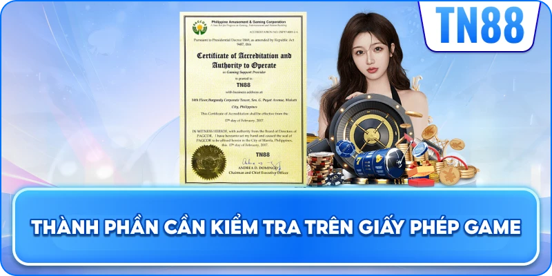 Thành Phần Cần Kiểm Tra Trên Giấy Phép & Chứng Nhận
