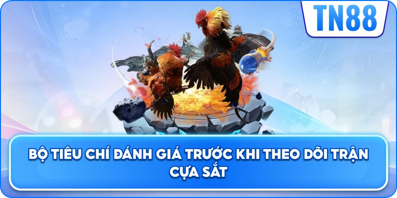Bộ Tiêu Chí Đánh Giá Trước Khi Theo Dõi Trận Cựa Sắt