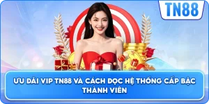 Ưu Đãi VIP TN88 Và Cách Đọc Hệ Thống Cấp Bậc Thành Viên
